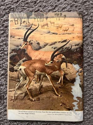 Dell Tarzans Jungle Annual 1955 No 4 Edgar Rice Burroughs Vintage Comic 25c - Thumbnail 6