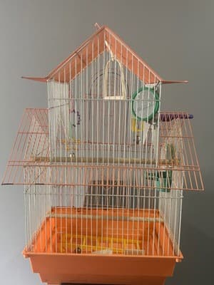 Bird Cage House Top Small Medium Orange White Metal Wire Perches Toys Cups - Image 1