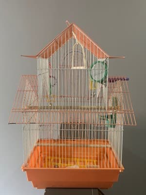 Bird Cage House Top Small Medium Orange White Metal Wire Perches Toys Cups - Thumbnail 2
