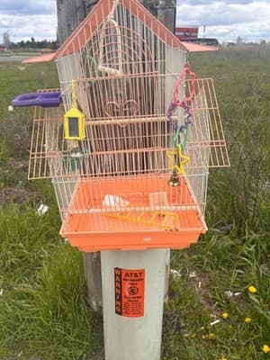 Bird Cage House Top Small Medium Orange White Metal Wire Perches Toys Cups - Thumbnail 9