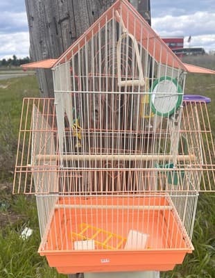 Bird Cage House Top Small Medium Orange White Metal Wire Perches Toys Cups - Thumbnail 6