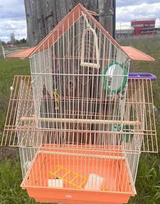 Bird Cage House Top Small Medium Orange White Metal Wire Perches Toys Cups - Thumbnail 5