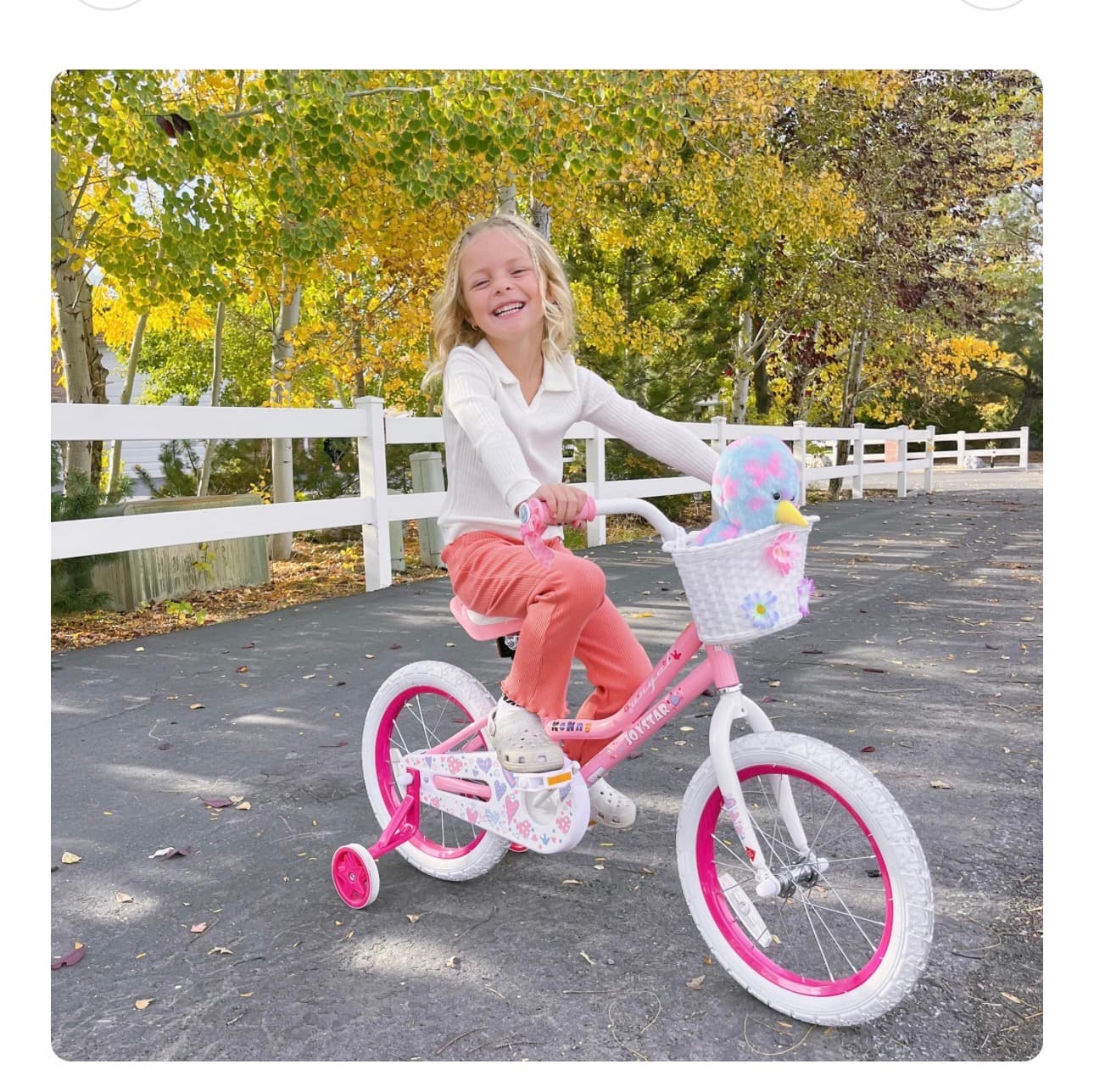 Joystar Kids Bike 14-Inch with Training Wheels and Basket - Thumbnail 9