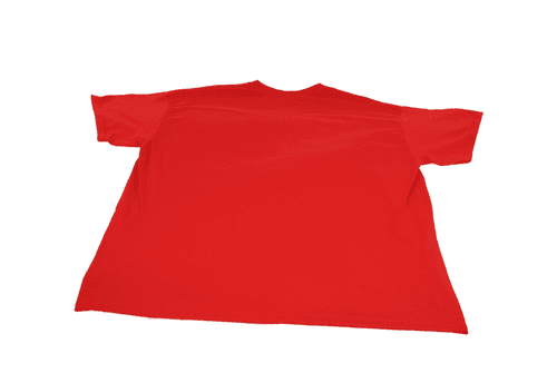 Funny Red Thing Dad T-Shirt Dr. Seuss Inspired Family Size XL Fathers Day - Thumbnail 2