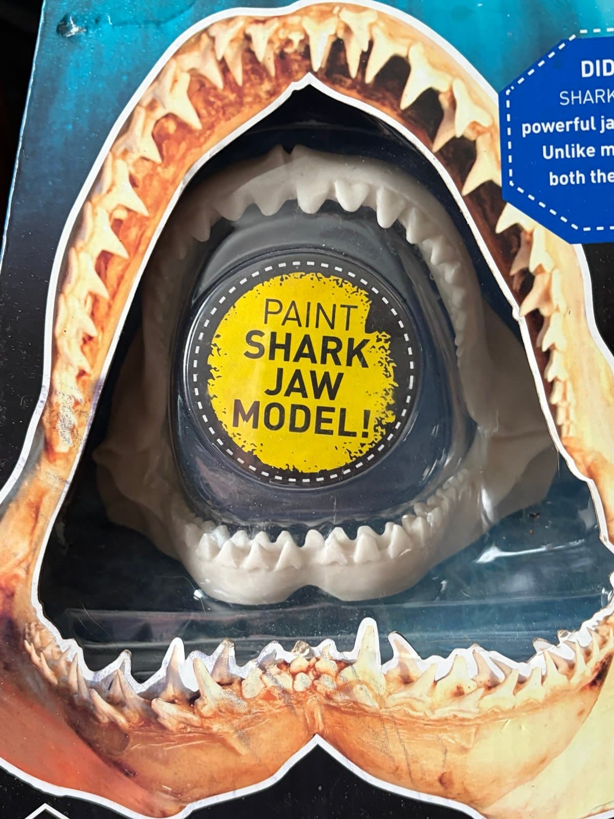 New in Box, Discovery Shark Science Kit - Thumbnail 2