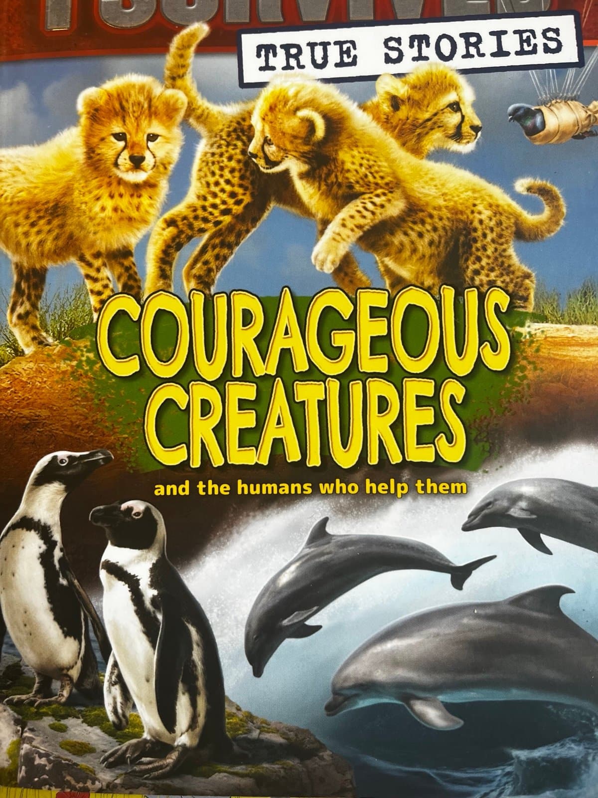 Set of 6 Children’s Educational books - Thumbnail 6