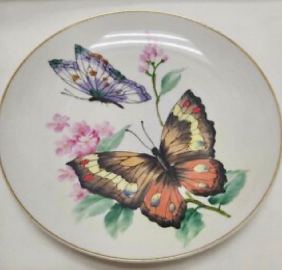Set of Two Porcelain Decorative Butterfly Plates, Vintagec - Image 1