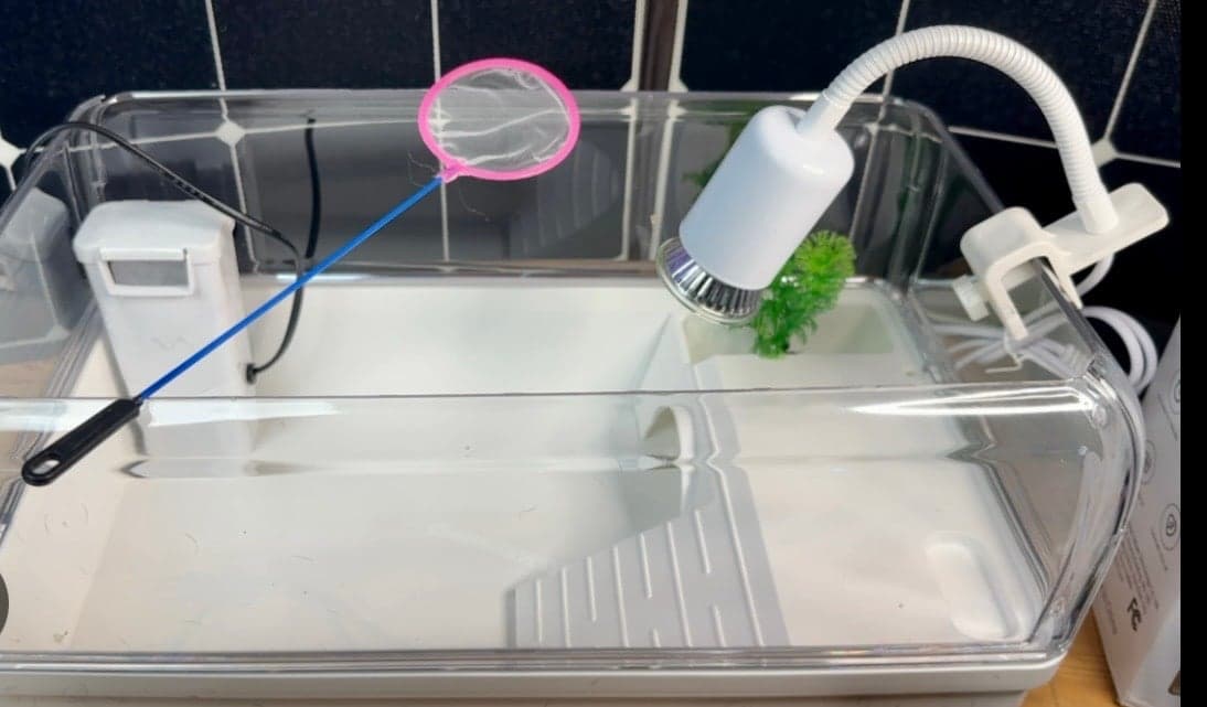 Enclosure for Small Reptiles - Thumbnail 2