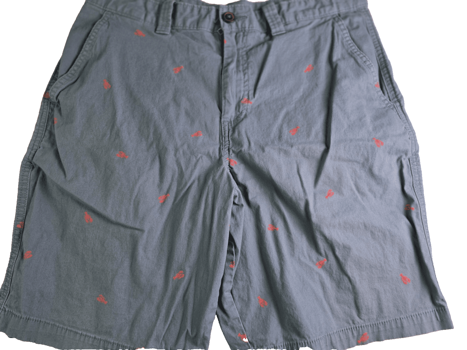 Magellan Shorts Men's Size 33 Chino Blue/Green Shorts - Image 1