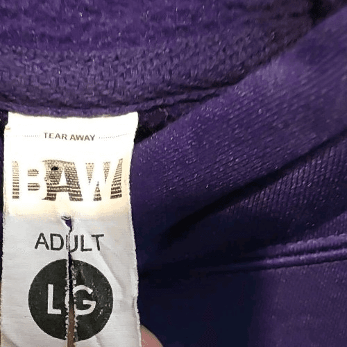 East Carolina Pirates Men's Large Purple Hoodie - Thumbnail 3