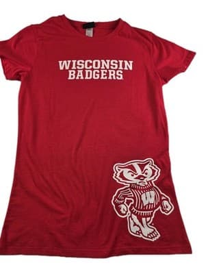 NWT Champion Wisconsin Badgers Men's Large Red Short Sleeve T-Shirt - Image 1