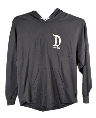 Disneyland Resort Spirit Adults Small Gray Long Sleeve Hoodie - Image 1