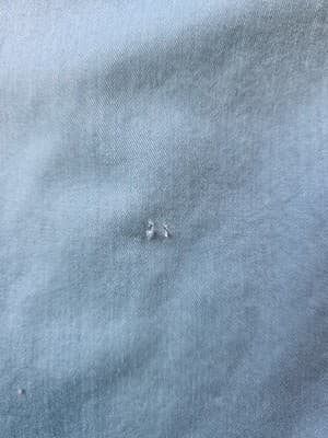 Izod Men's Large 17 34/35 Teal Regular Fit Long Sleeve Button Up Shirt *FLAWED* - Thumbnail 3
