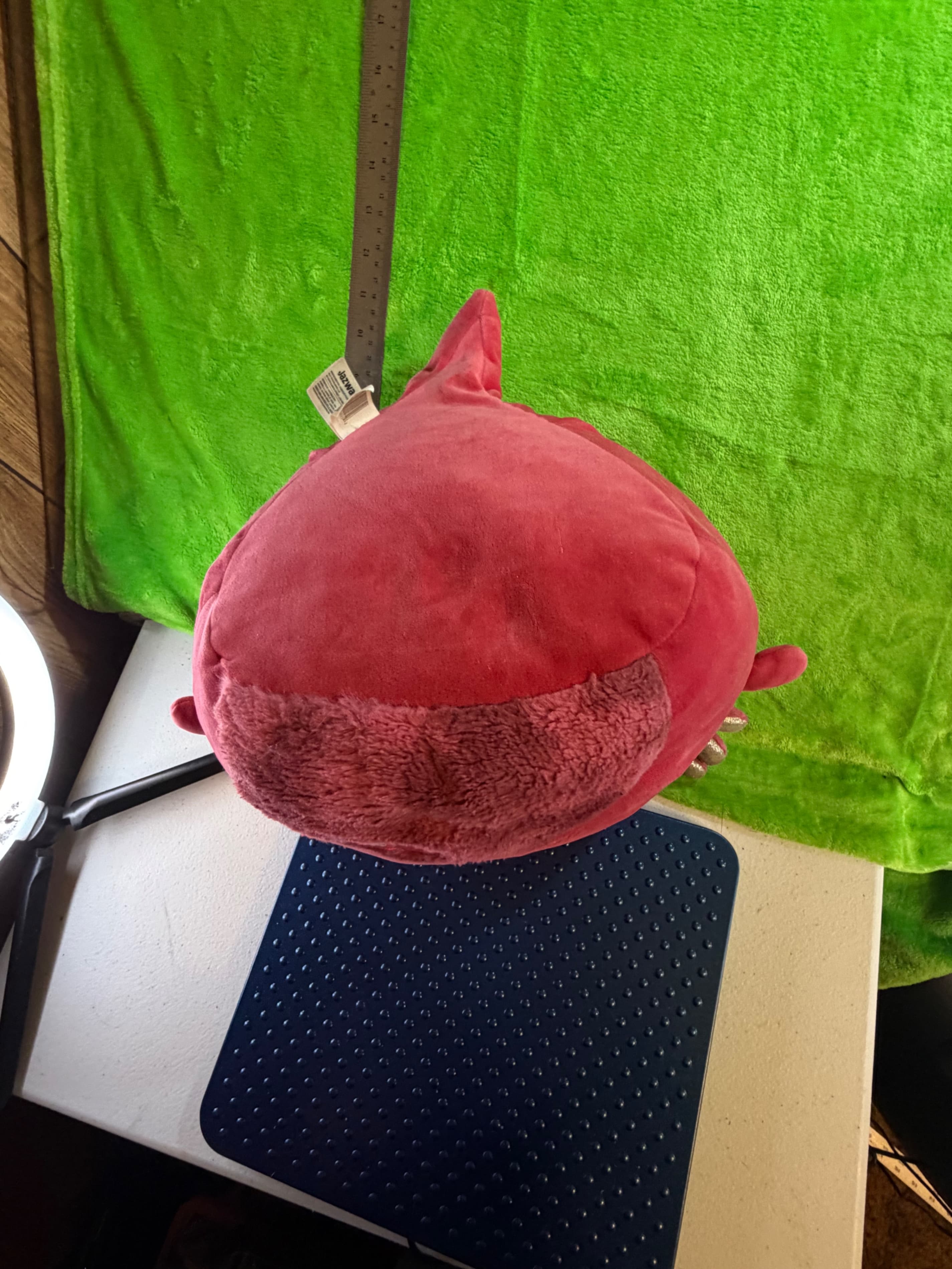 Squishmallows IndieMae 12" Red Axolotl Valentine Hearts Fuzzy Belly Plush 2024 - Thumbnail 3