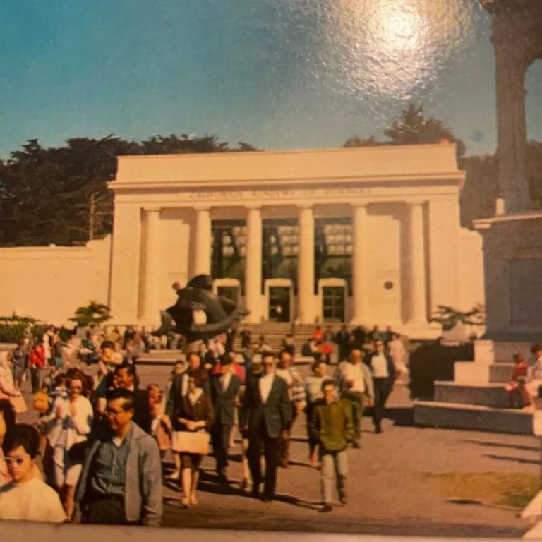 California Academy of Sciences Golden Gate Park San Francisco CA c1966 - Thumbnail 3