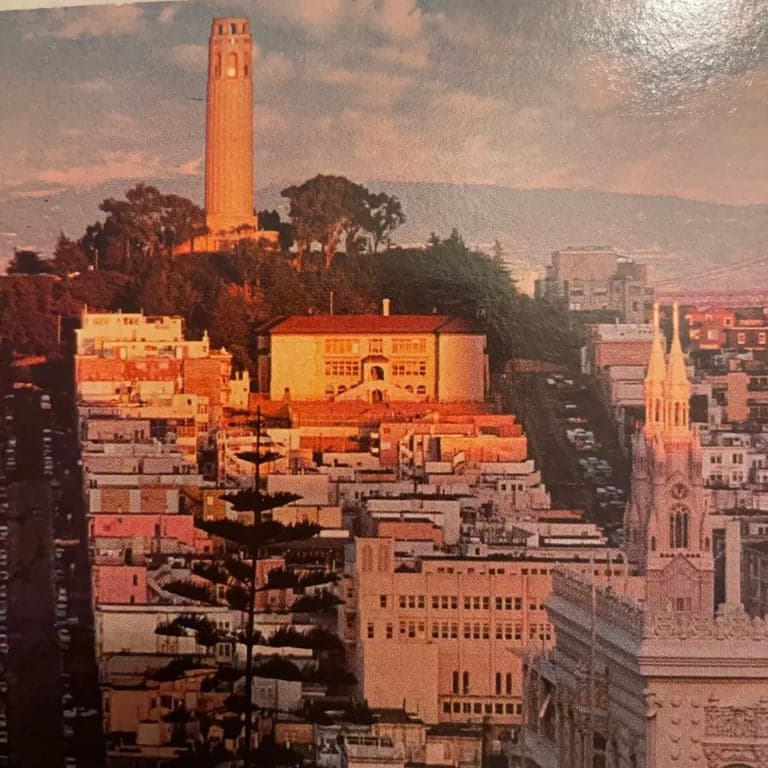 Vintage San Francisco Coit Tower Postcard - Thumbnail 3