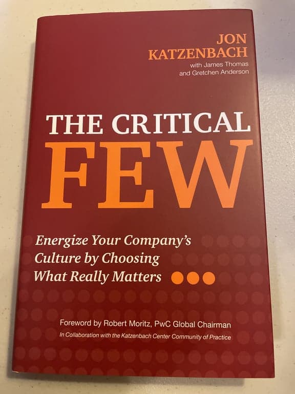 The Critical Few: Energize Your Company's Culture by Choosing What Really Matter - Image 1
