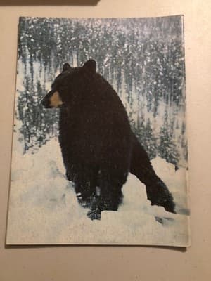Arizona Highways Magazine October 1967 The Mogollon Rim Vintage Travel Issue - Thumbnail 2