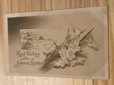 Vintage Embossed Easter Postcard Divided Back Kind Wishes Dove Flowers 1910s - Image 1