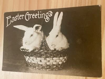 Vintage Easter Postcard Rabbits in Basket Embossed Divided Back Unposted B&W - Image 1