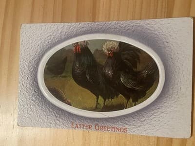 Vintage Easter Postcard Rooster Embossed Border Printed GB Handwritten Greeting - Image 1