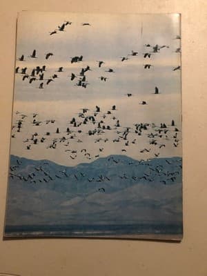 Arizona Highways Magazine January 1981 Travel Scenic Arizona Wildlife Photos - Thumbnail 2