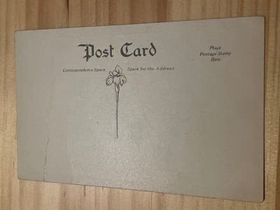 Vintage Nobodys Valentine Postcard Gold Border Cartoon Unposted Blank Back - Thumbnail 2