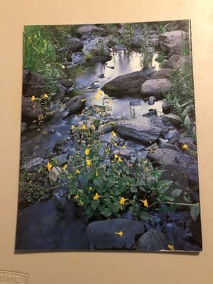 Arizona Highways Magazine January 1969 Saguaro Monarch of the Desert Vintage - Thumbnail 2