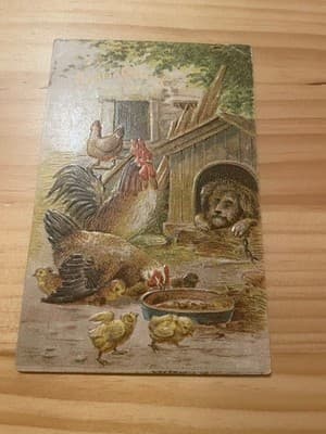 Vintage Embossed Hen Rooster Chicks Farm Postcard Sent 1909 Columbus Ohio Used - Image 1