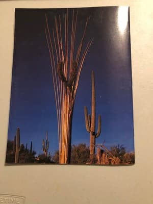 Arizona Highways Magazine January 1980 Travel Photography Arizona Desert Vintage - Thumbnail 2