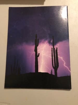 Arizona Highways Magazine June 1991 Escape to Flagstaff Cactus Lightning Cover - Thumbnail 2