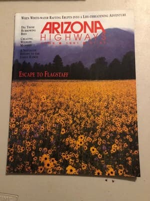 Arizona Highways Magazine June 1991 Escape to Flagstaff Cactus Lightning Cover - Image 1