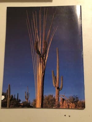 Arizona Highways Magazine May 1978 Scenic Desert Monument Cover Vintage Travel - Thumbnail 2