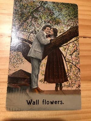 Vintage 1909 Wall Flowers Postcard Providence Postmark Printed Germany Stamped - Image 1