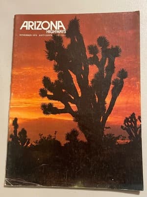 Arizona Highways Magazine November 1973 Vintage Travel Photography Joshua Tree - Image 1