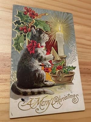 Vintage 1909 Embossed Christmas Postcard Cat Candle Holly A Merry Christmas - Image 1