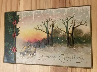 Vintage Embossed Christmas Postcard Sheep A Merry Christmas Holly Postmark - Image 1