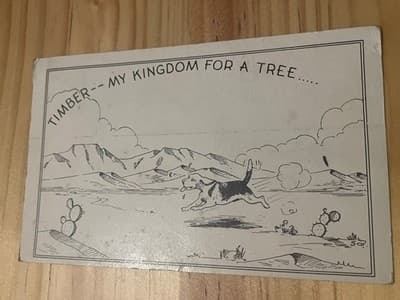 Vintage Postcard Timber My Kingdom For A Tree Dog Running Desert CA 2 Cent Stamp - Image 1