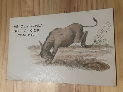Vintage Donkey Postcard 1919 Humorous Ive Certainly Got A Kick Coming With1c - Image 1