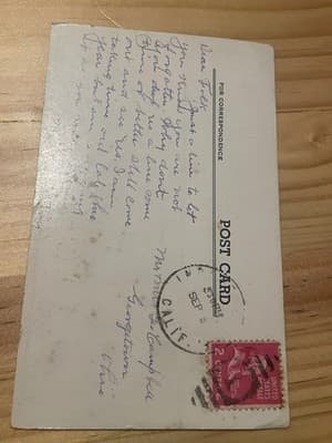 Vintage Postcard Timber My Kingdom For A Tree Dog Running Desert CA 2 Cent Stamp - Thumbnail 2