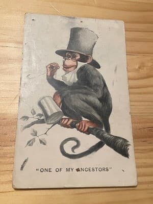 Vintage 1914 Monkey Postcard One My Ancestors Handwritten Postmarked Addressed - Image 1