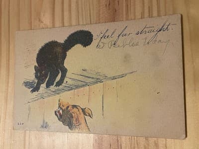 Vtg Postcard Black Cat Hissing Dog Illustration 1 Cent Stamp Used Humor Greeting - Image 1