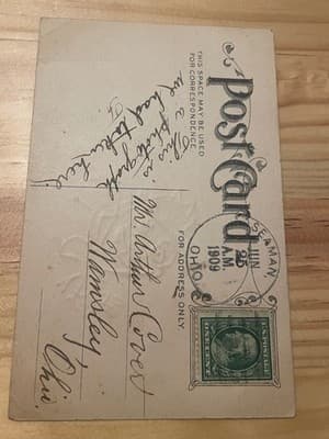 Vintage 1909 Postmarked Comic Postcard A Bunch of Beets Handwritten USA Humor - Thumbnail 2