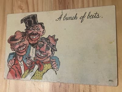 Vintage 1909 Postmarked Comic Postcard A Bunch of Beets Handwritten USA Humor - Image 1