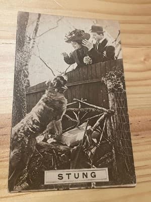 Vintage Postcard Stung Black White Dog Couple Fence Canada 1c Stamp Postmarked - Image 1