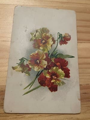 Vintage Floral Postcards Early 1900s Stamped Embossed Postmarked Pansies - Thumbnail 3