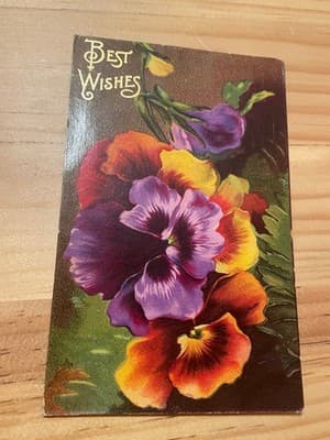 Vintage Floral Postcards Early 1900s Stamped Embossed Postmarked Pansies - Image 1