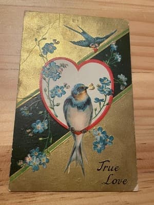 Vintage Embossed Postcards True Love Swallow blue florals Best Wishes 1910 Used - Image 1