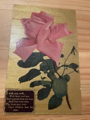 Sanborn Souvenir Co Postcard Pink Rose Gold Gilt Embossed Vintage Unused Denver - Image 1