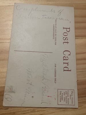 Vintage Embossed Kind Regards Postcard Unposted Tree Scene Gold Accents Greeting - Thumbnail 2